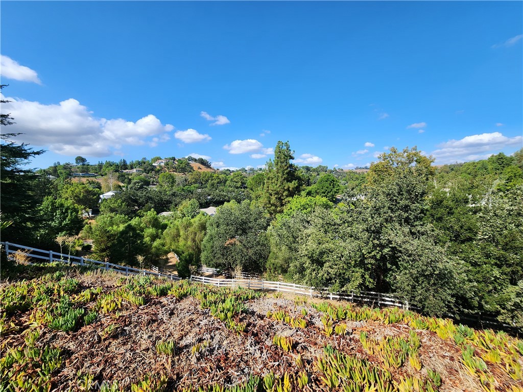 5845 Hilltop Road Hidden Hills, CA 91302 - Photo 20 of 20 a view of a yard with a tree
