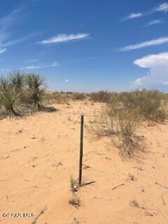 Unknown Unknown Kimberly Fort Hancock, TX 79839 - Photo 4 of 9 a view of a yard