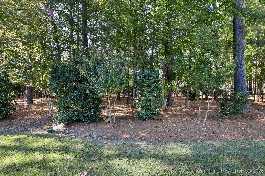 383 Falling Water Road Spring Lake, NC 28390 - Photo 33 of 33 a view of a forest filled with trees