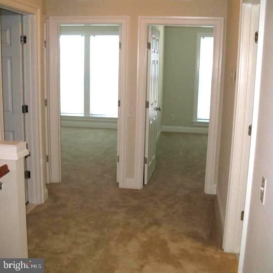 42784 Lauder Terrace Ashburn, VA 20147 - Photo 19 of 34