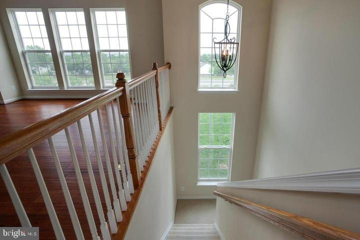 42784 Lauder Terrace Ashburn, VA 20147 - Photo 8 of 34