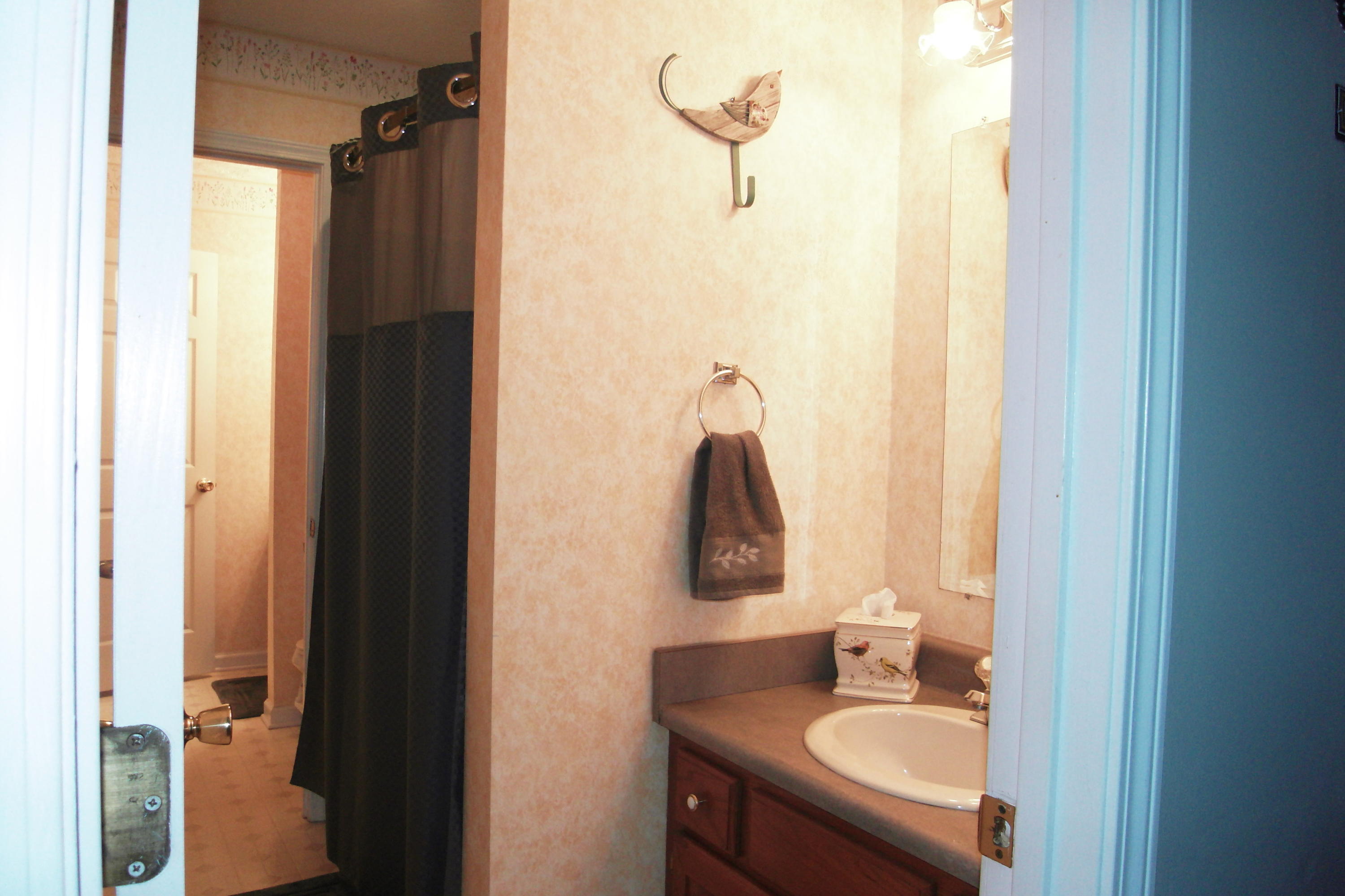 1850 Baileys Road Greenback, TN 37742 - Photo 27 of 37 Jack and Jill bath