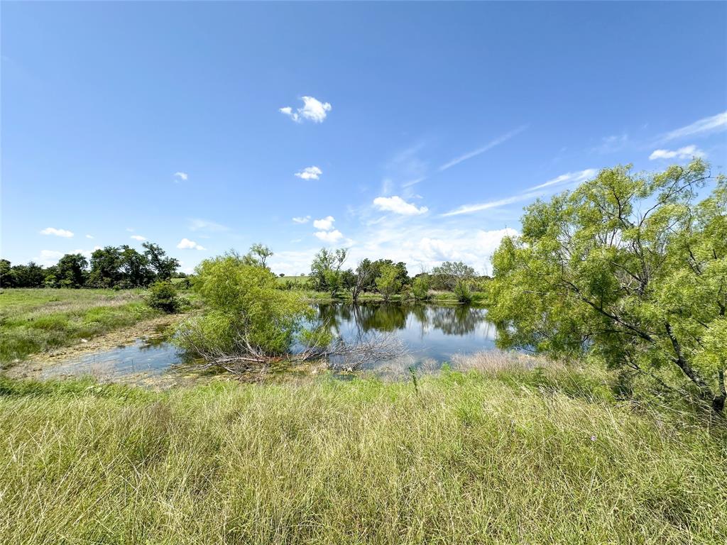 911 Old Pidcoke Road Gatesville, TX 76528 - Photo 8 of 15 a view of a big yard with plants and large trees