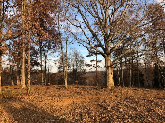 Carl Junior Road Bee Spring, KY 42207 - Photo 2 of 3 Gallery Image 2