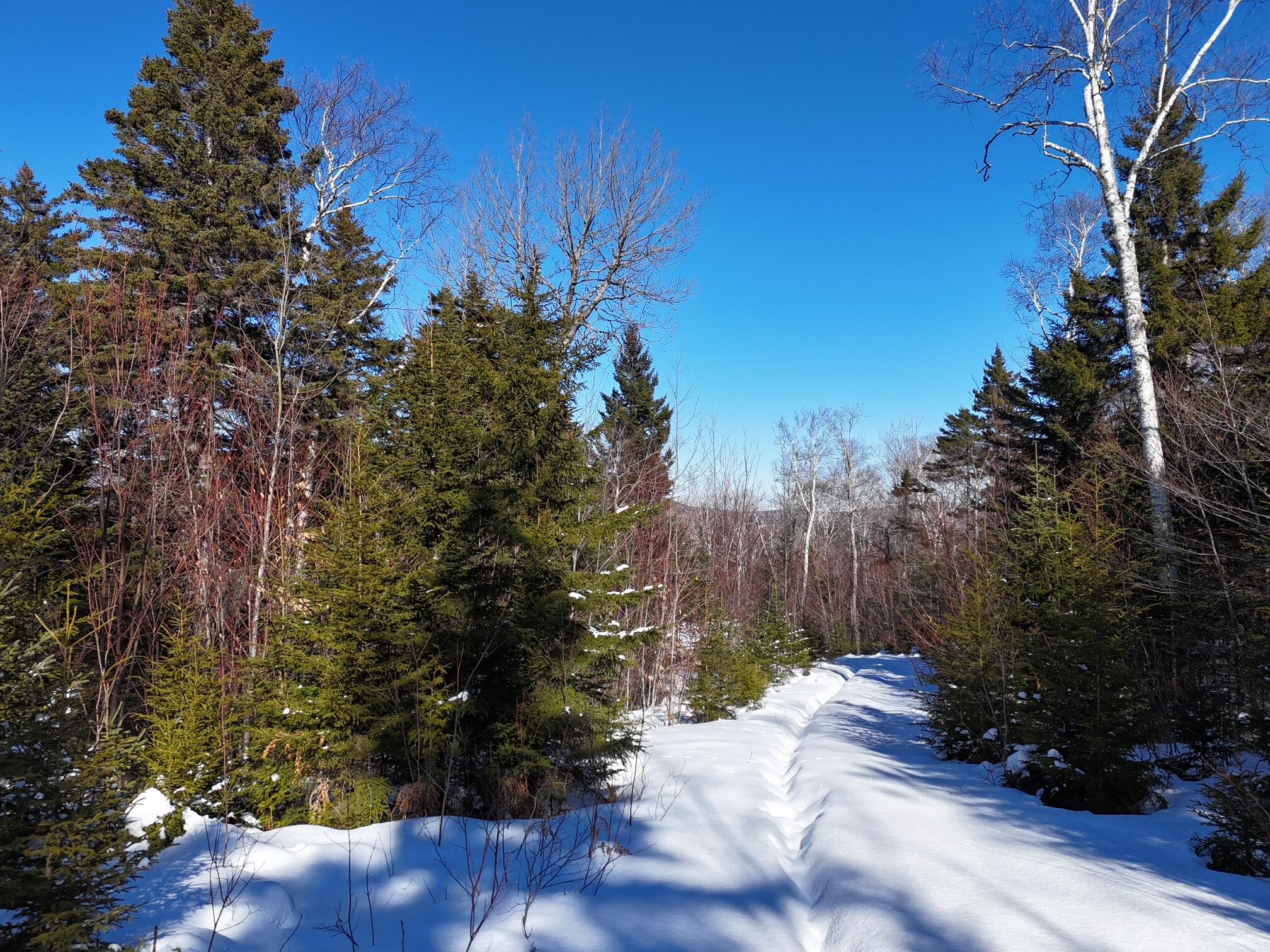 2020-2022 Pond Road Carrabassett Valley, ME 04947 - Photo 5 of 17 dji_fly_20260215_130720_0452_17712502587