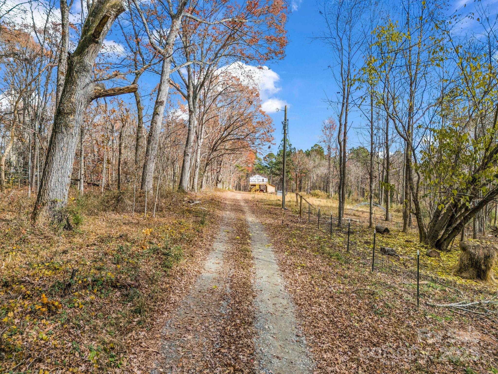 1794 Cat Square Road Vale, NC 28168 - Photo 4 of 35 a view of yard with trees