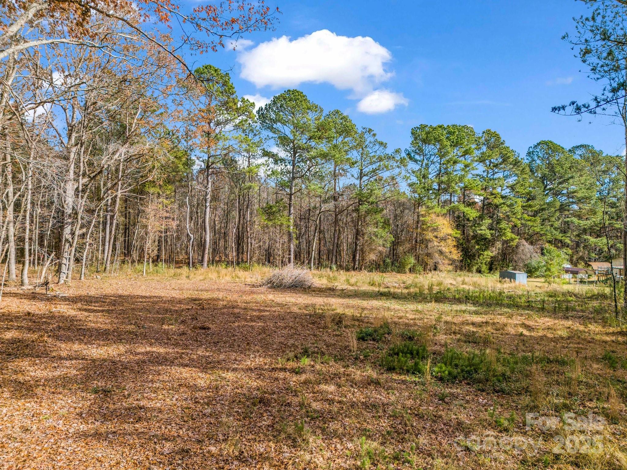 1794 Cat Square Road Vale, NC 28168 - Photo 6 of 35 a view of a yard with large trees