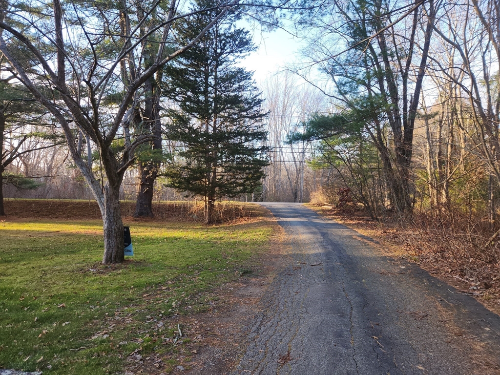 68 Hudson Road Stow, MA 01775 - Photo 33 of 39 a view of a yard with a tree