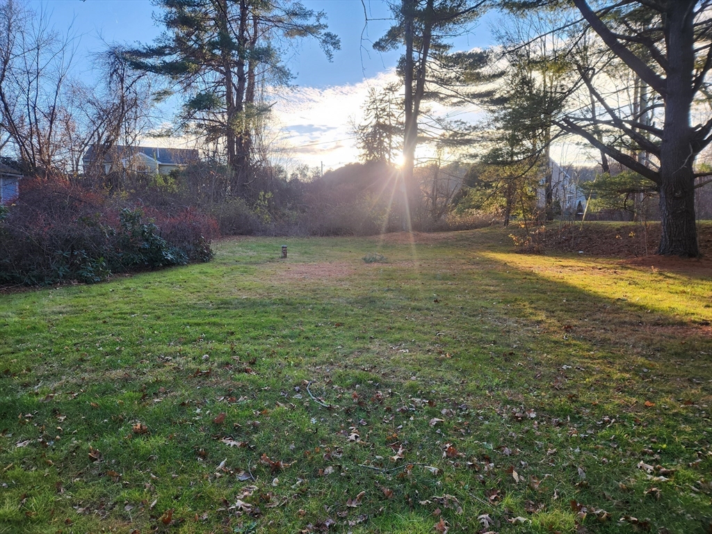 68 Hudson Road Stow, MA 01775 - Photo 34 of 39 a view of a yard with a tree