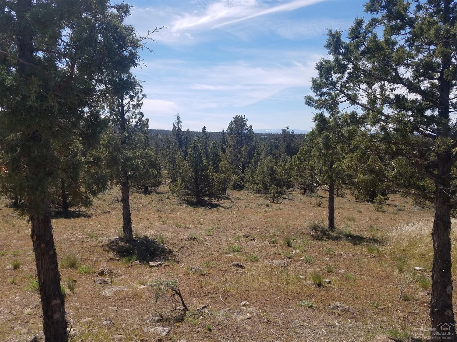 12632 Southeast Bridge Road Prineville, OR 97754 - Photo 10 of 14 Additional Photo