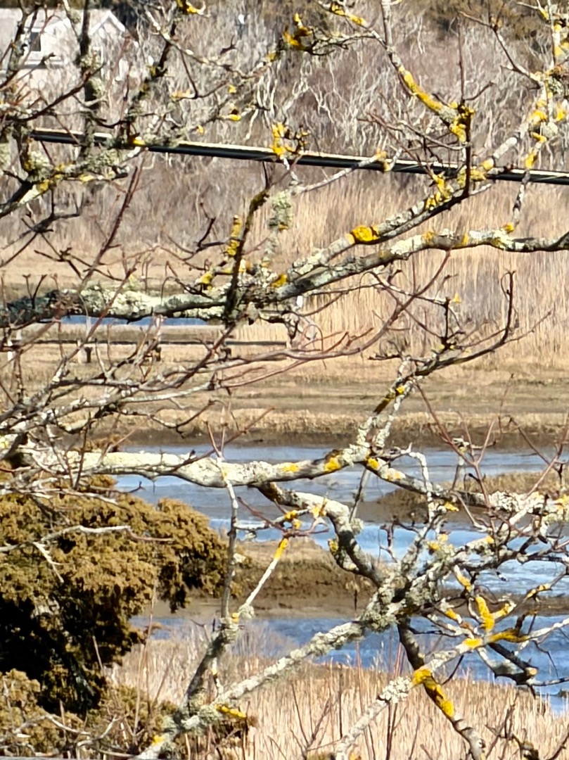 163 Orange Street Nantucket, MA 02554 - Photo 21 of 22 a view of a lake