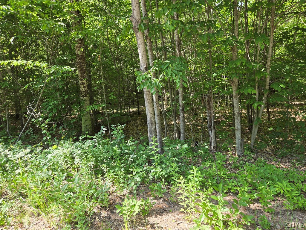 7399 Pennysettlement Road Lyonsdale, NY 13433 - Photo 3 of 7