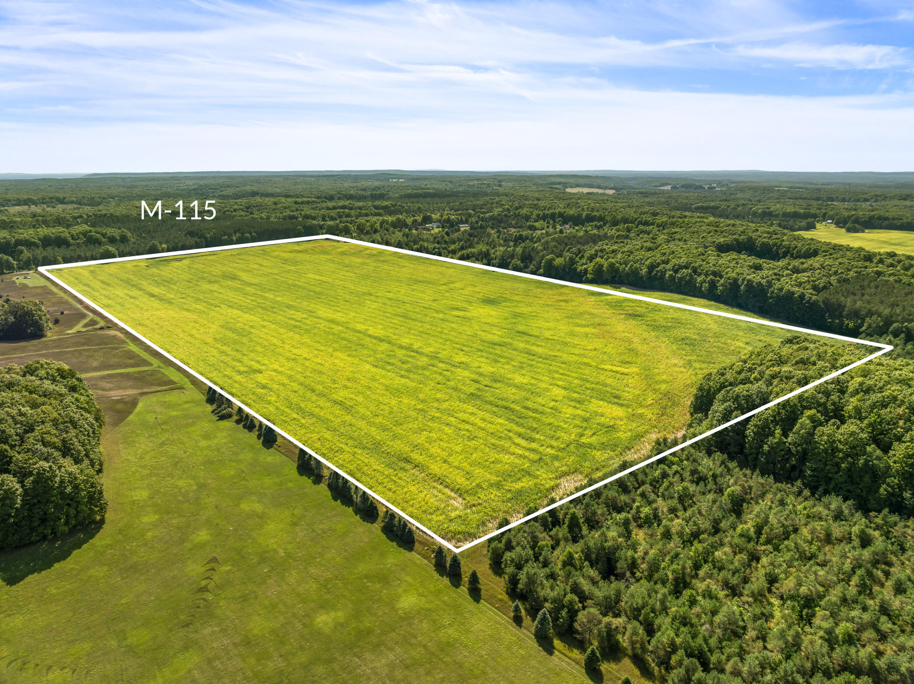 23490 Valencourt Road Copemish, MI 49625 - Photo 6 of 10 DJI_20260914151814_0050_D