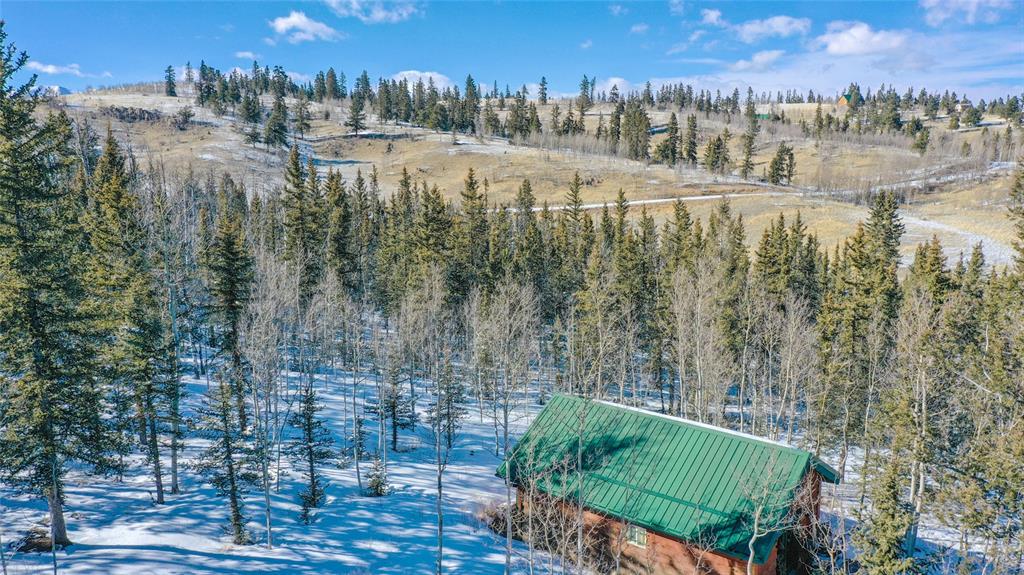 301 Warpath Road Como, CO 80432 - Photo 23 of 31 Gallery Image 23