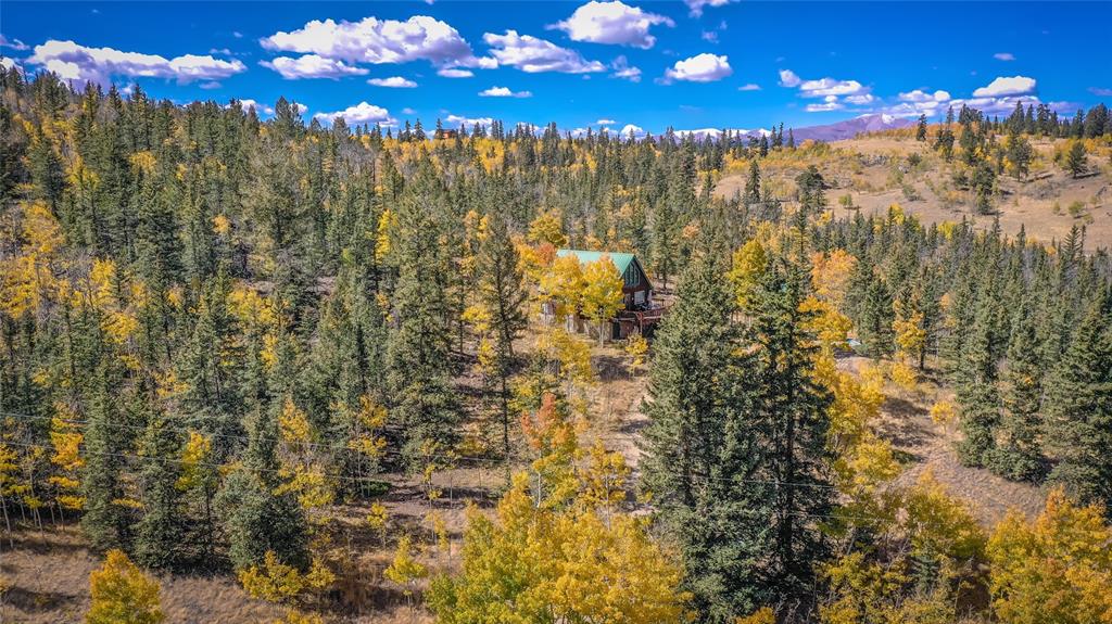 301 Warpath Road Como, CO 80432 - Photo 26 of 31 Gallery Image 26