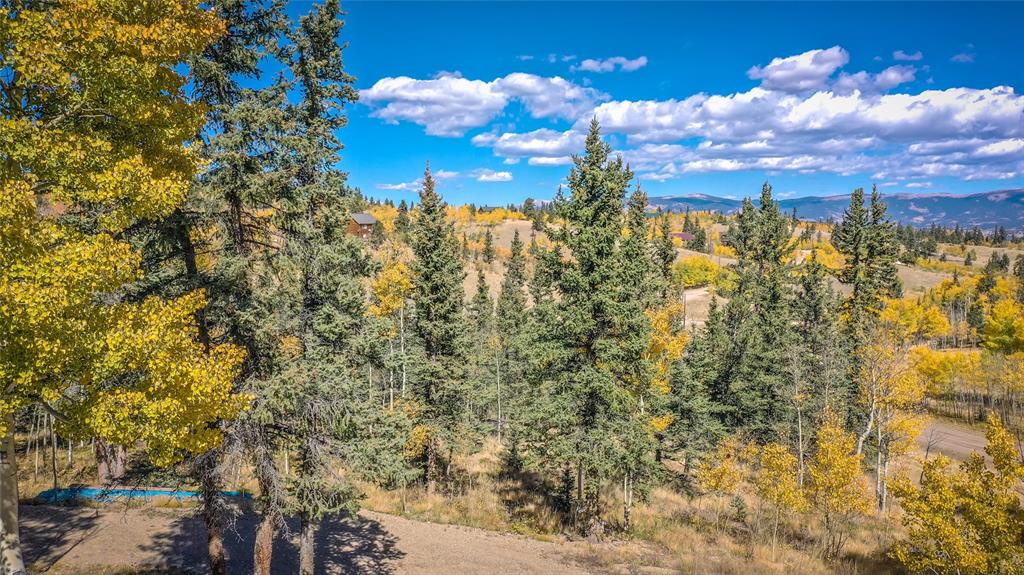 301 Warpath Road Como, CO 80432 - Photo 28 of 31 Gallery Image 28