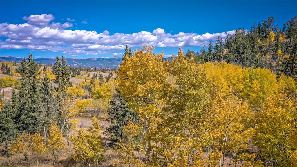 301 Warpath Road Como, CO 80432 - Photo 29 of 31 Gallery Image 29