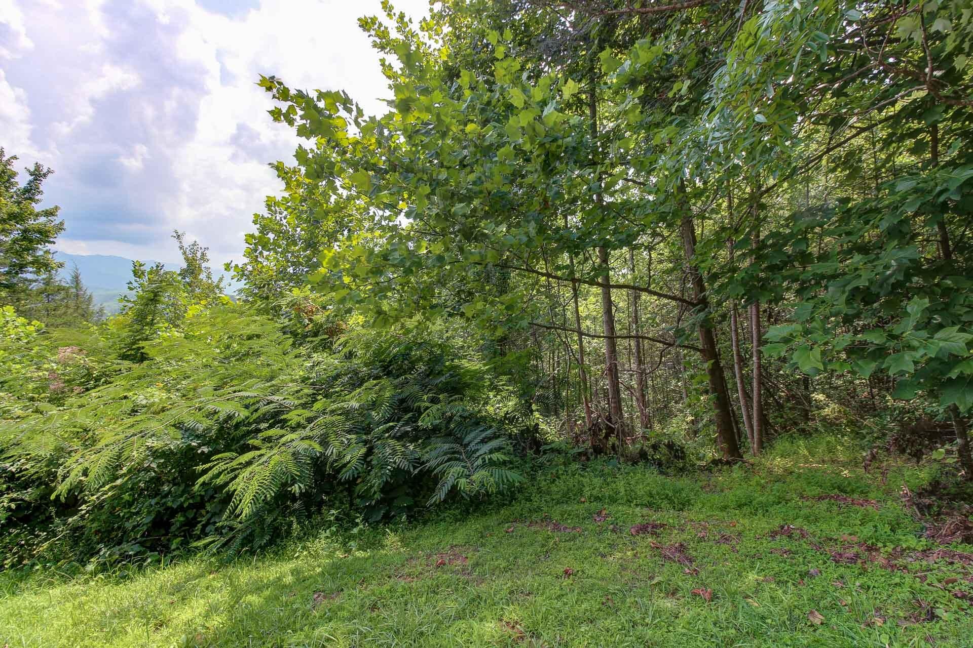 3334 Riversong Way Sevierville, TN 37876 - Photo 5 of 9 Gallery Image 5