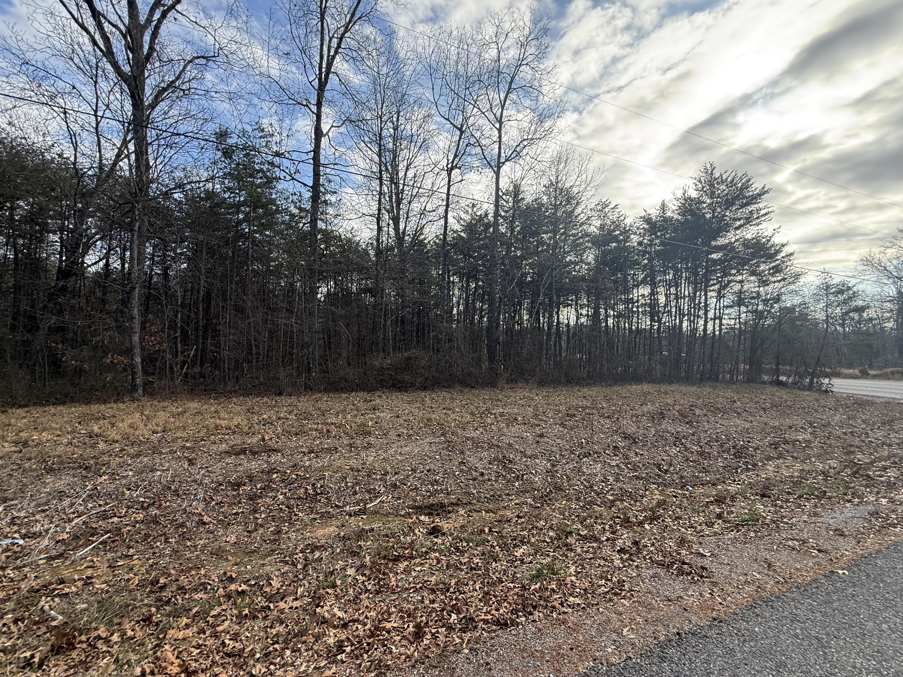 1 County Road, Unit 267 LOT 6 Bryant, AL 35958 - Photo 6 of 7 IMG_9670