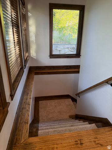 4536 North 475 East Provo, UT 84604 - Photo 29 of 65 Staircase with wood-finish flooring, light-toned carpeted treads, and a coordinating wood handrail