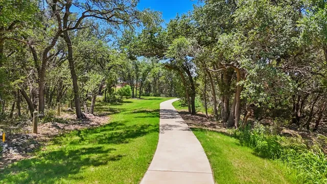 a view of park with large trees