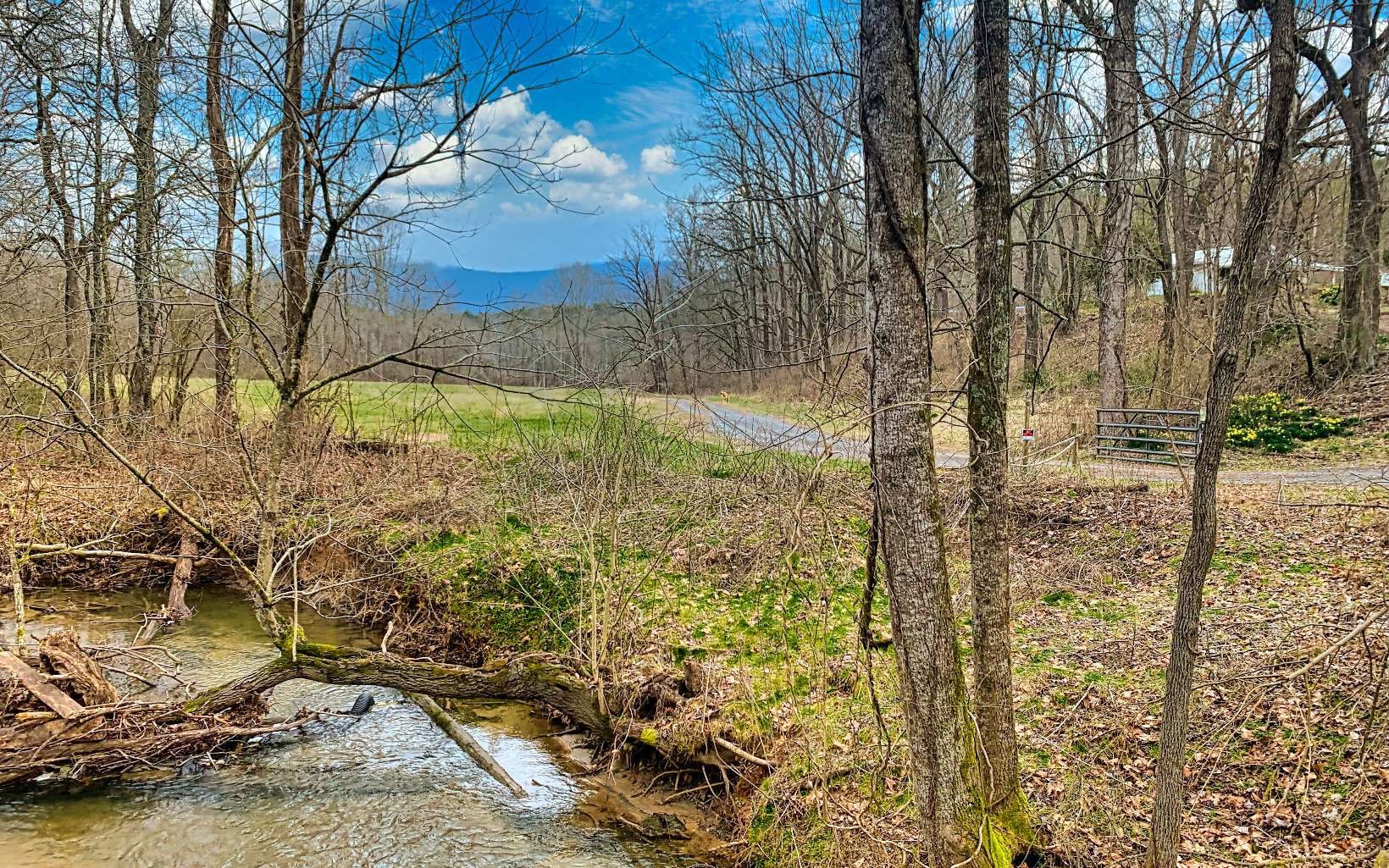 1640 East New Hope Road Ellijay, GA 30536 - Photo 43 of 44 Additional View