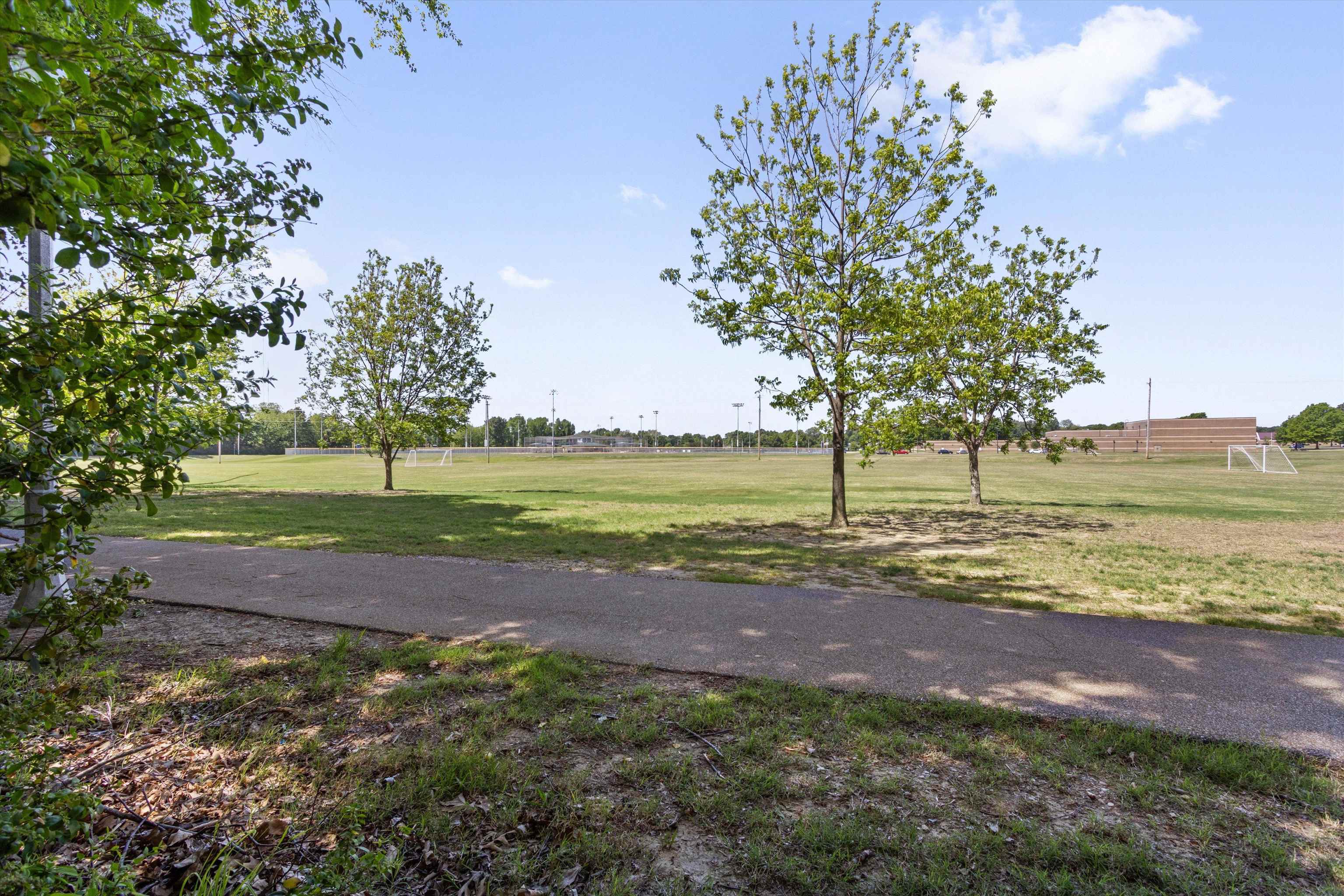 3671 Haynes Road Bartlett, TN 38133 - Photo 39 of 40 a view of a yard with a tree