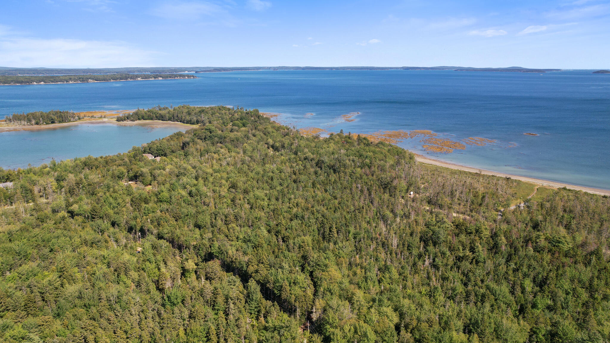 Lot # North Road Lamoine, ME 04605 - Photo 7 of 13 side view