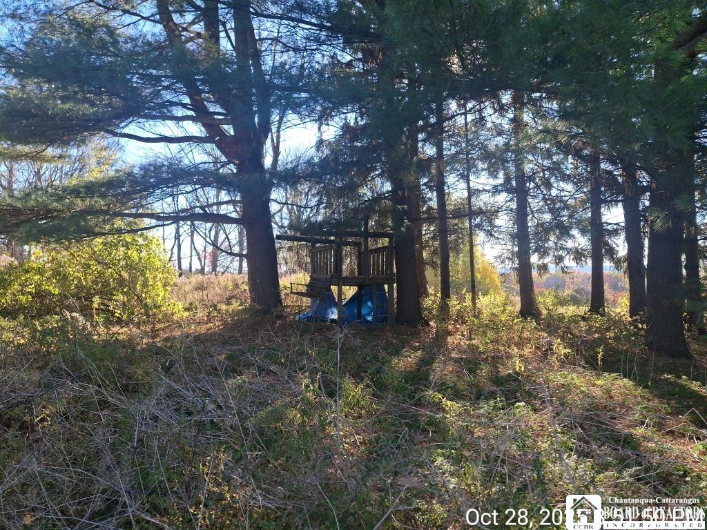 4403 Belleview Road Ellery, NY 14712 - Photo 17 of 23 Wooded Side Lot