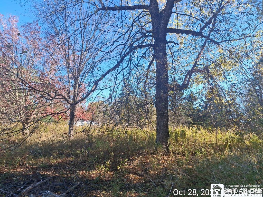 4403 Belleview Road Ellery, NY 14712 - Photo 19 of 23 Side lot views