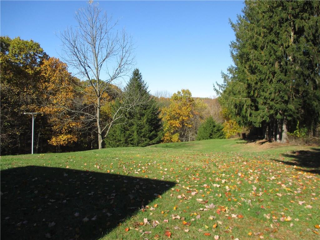 1405 Barclay Hill Road Beaver, PA 15009 - Photo 11 of 20 Backyard