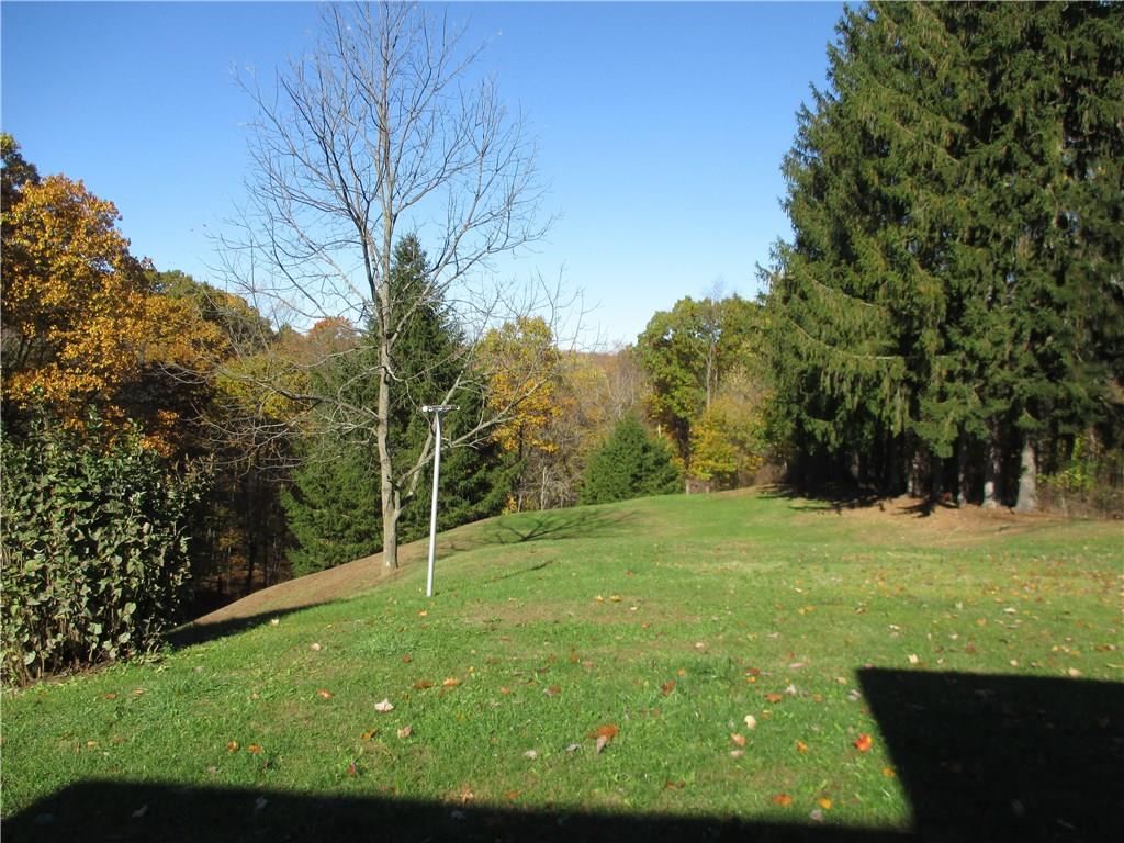 1405 Barclay Hill Road Beaver, PA 15009 - Photo 12 of 20 Backyard