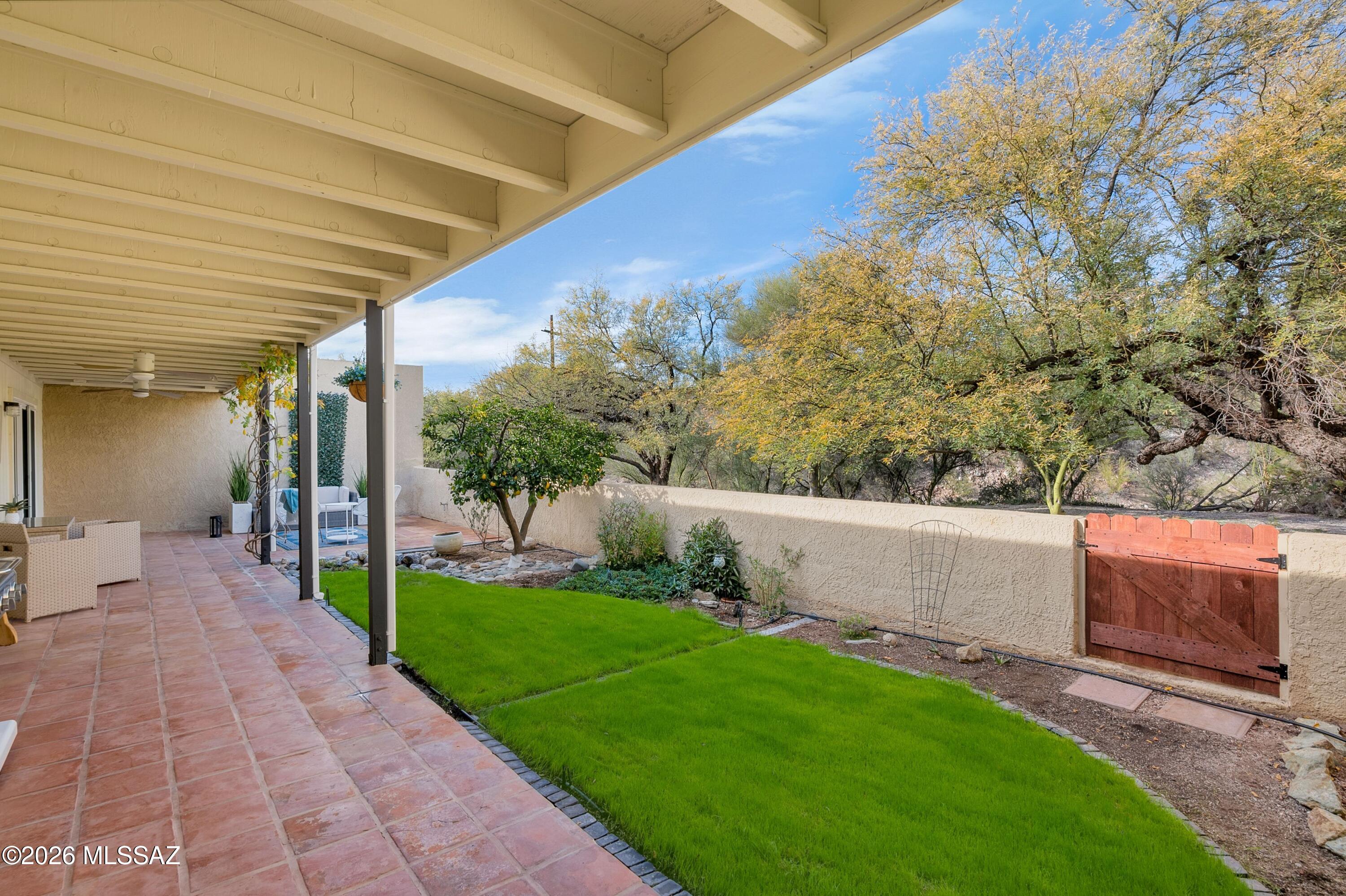 6941 East Rivercrest Road Tucson, AZ 85750 - Photo 8 of 32 a view of an outdoor space and a yard