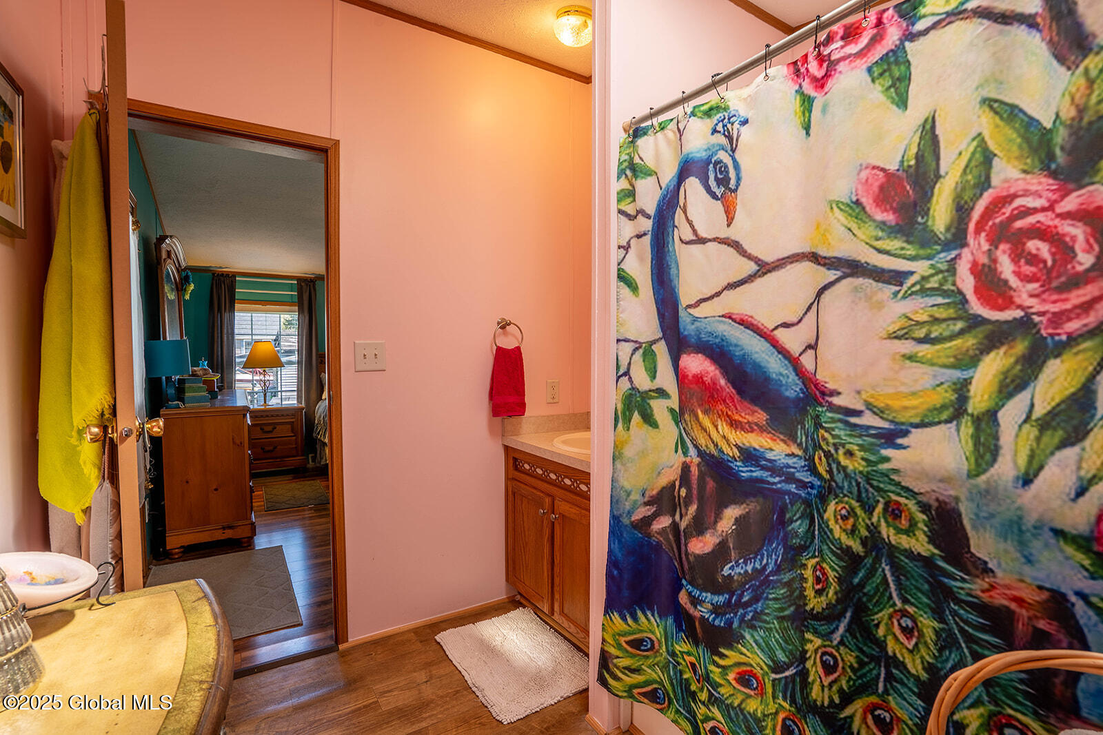 702 East Lake Road Argyle, NY 12809 - Photo 23 of 38 Primary Full Bath