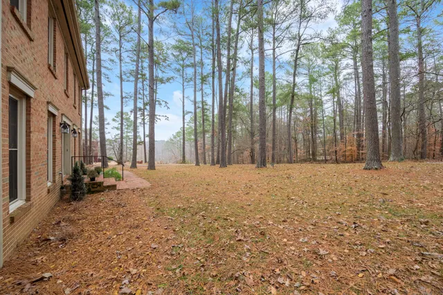 a view of outdoor space with deck and trees
