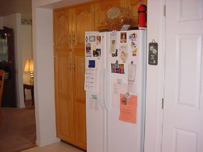 4541 Greenfield Road Bethlehem, PA 18017 - Photo 8 of 9 More storage! Pantry closet for stock piling goodies