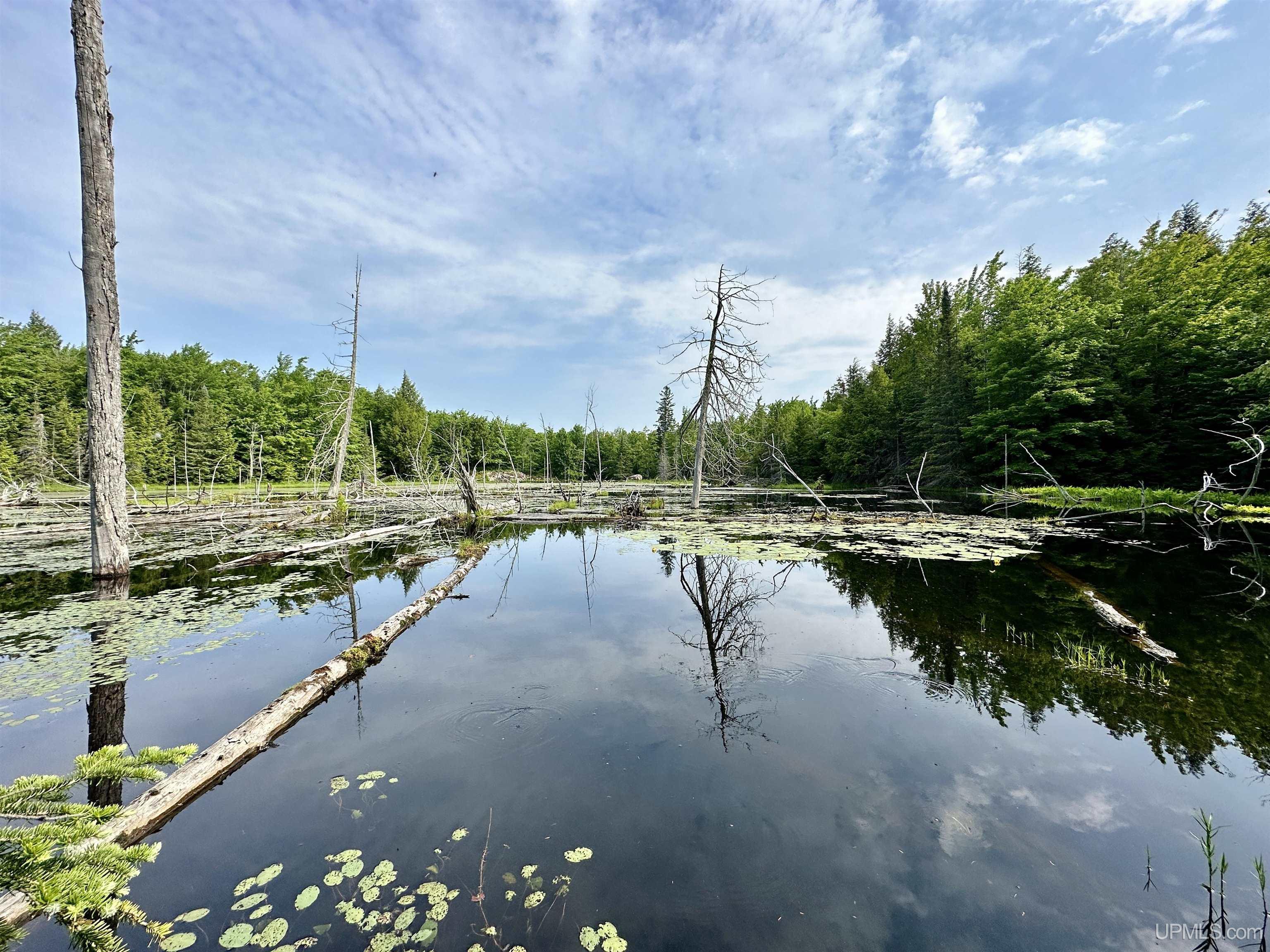 510 Rd Negaunee Mi 49866 Road Negaunee, MI 49866 - Photo 57 of 71