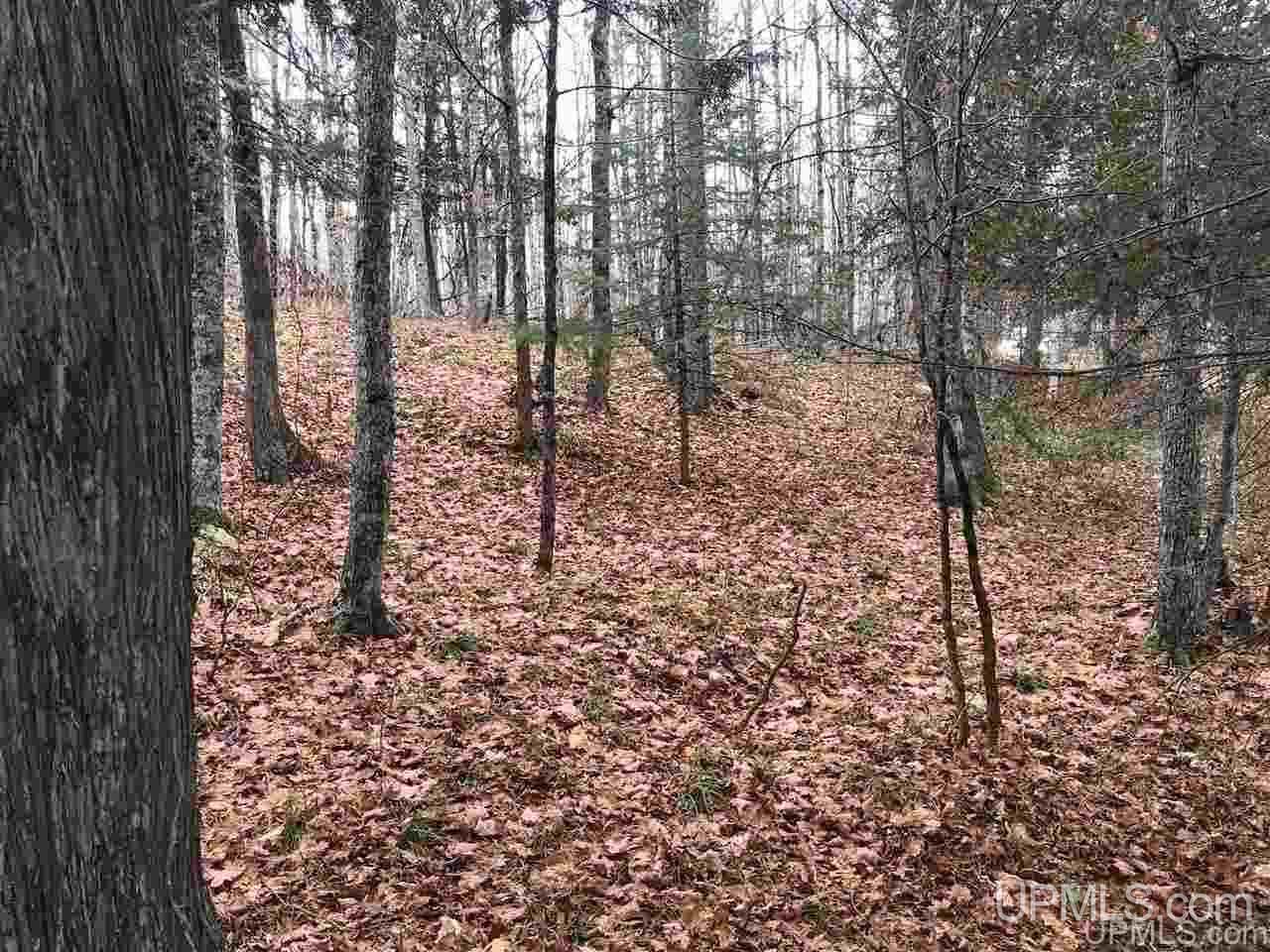 Tbd Off River Road, Unit 2 Hermansville, MI 49847 - Photo 26 of 34