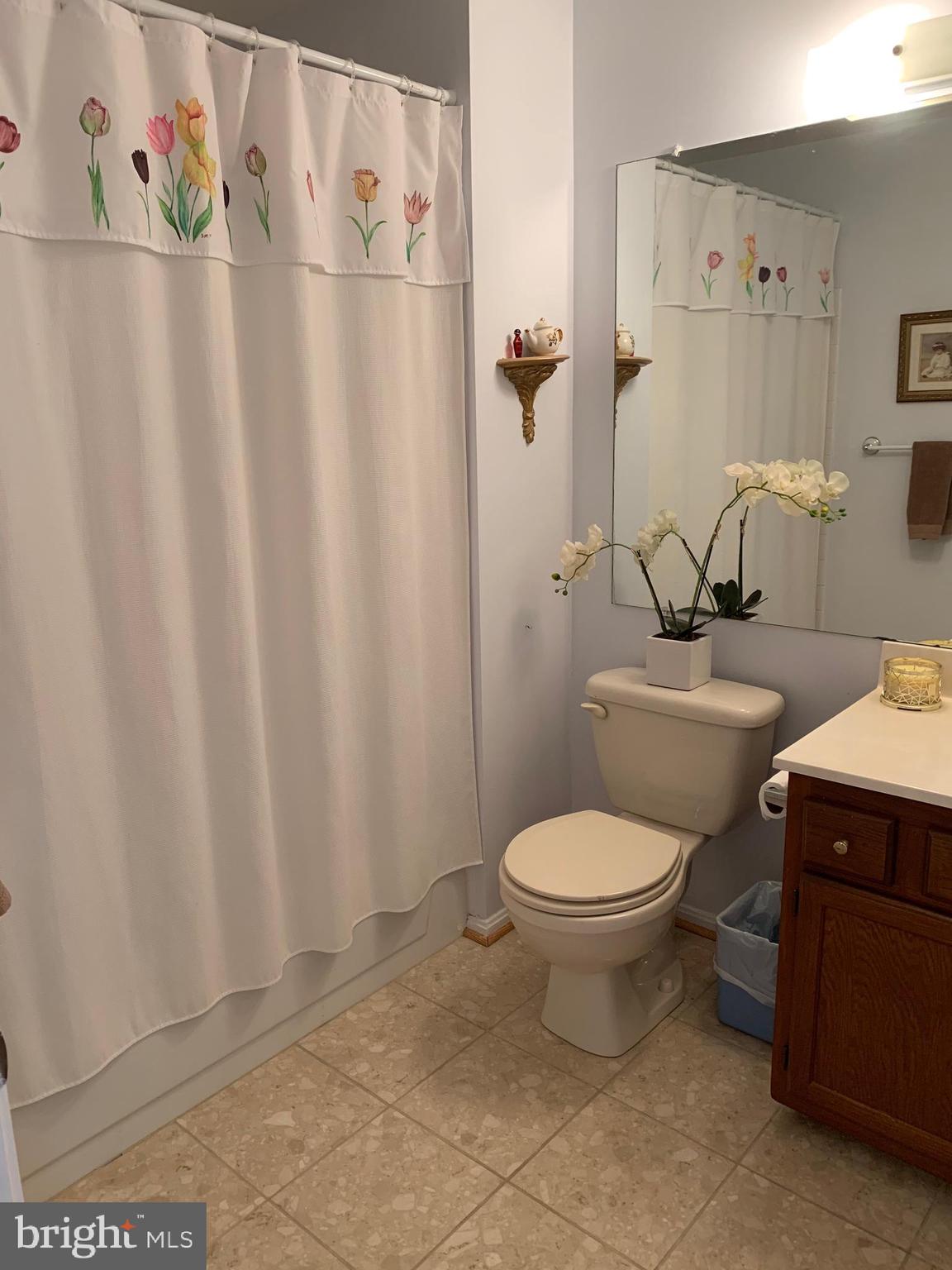 15030 Shamrock Ridge Road Silver Spring, MD 20906 - Photo 15 of 21 Hall Full Bath with Ceramic Flooring