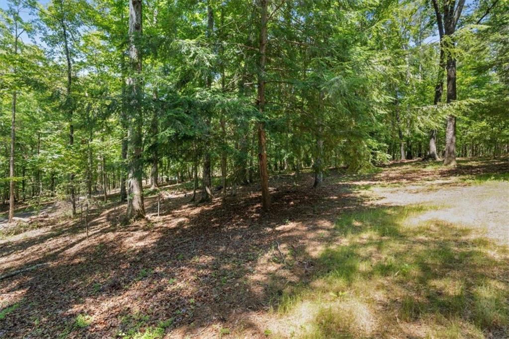 7448 Berea Road Winston, GA 30187 - Photo 64 of 85