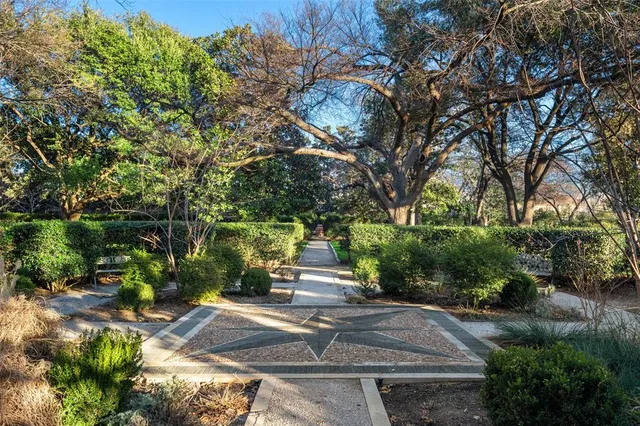 a park view with large trees