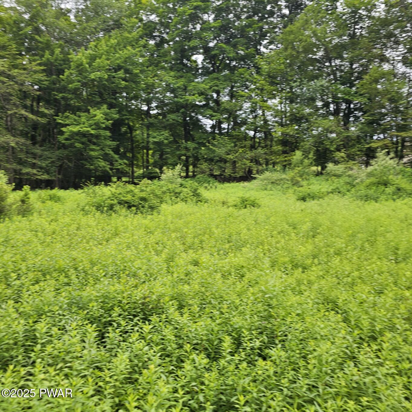 Lot 45 Lake Russell Road Newfoundland, PA 18445 - Photo 3 of 11