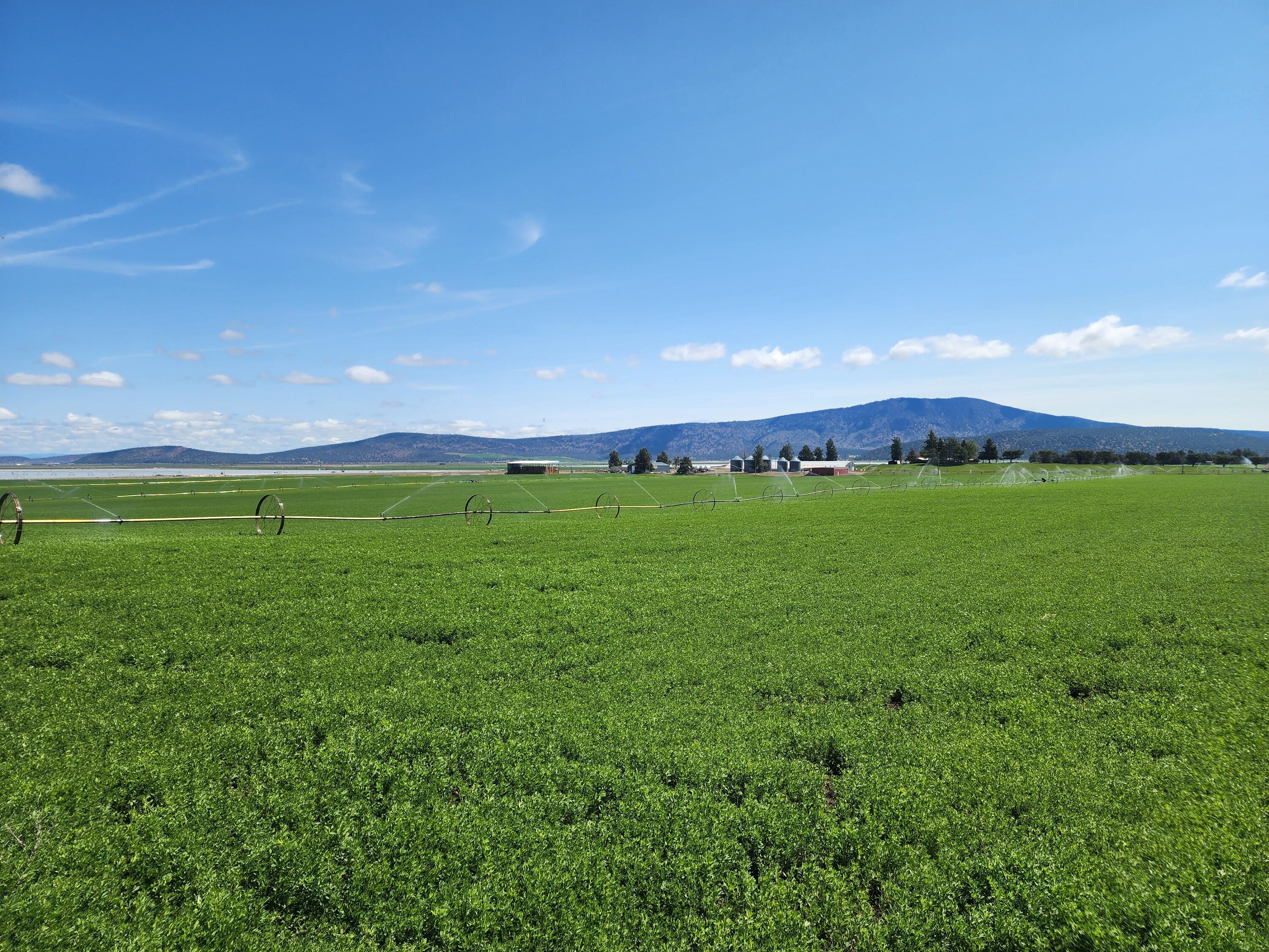 2935 Sheep Mountain Road Macdoel, CA 96058 - Photo 42 of 137 20250516_111502