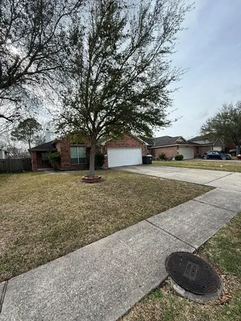 a view of a backyard with large trees