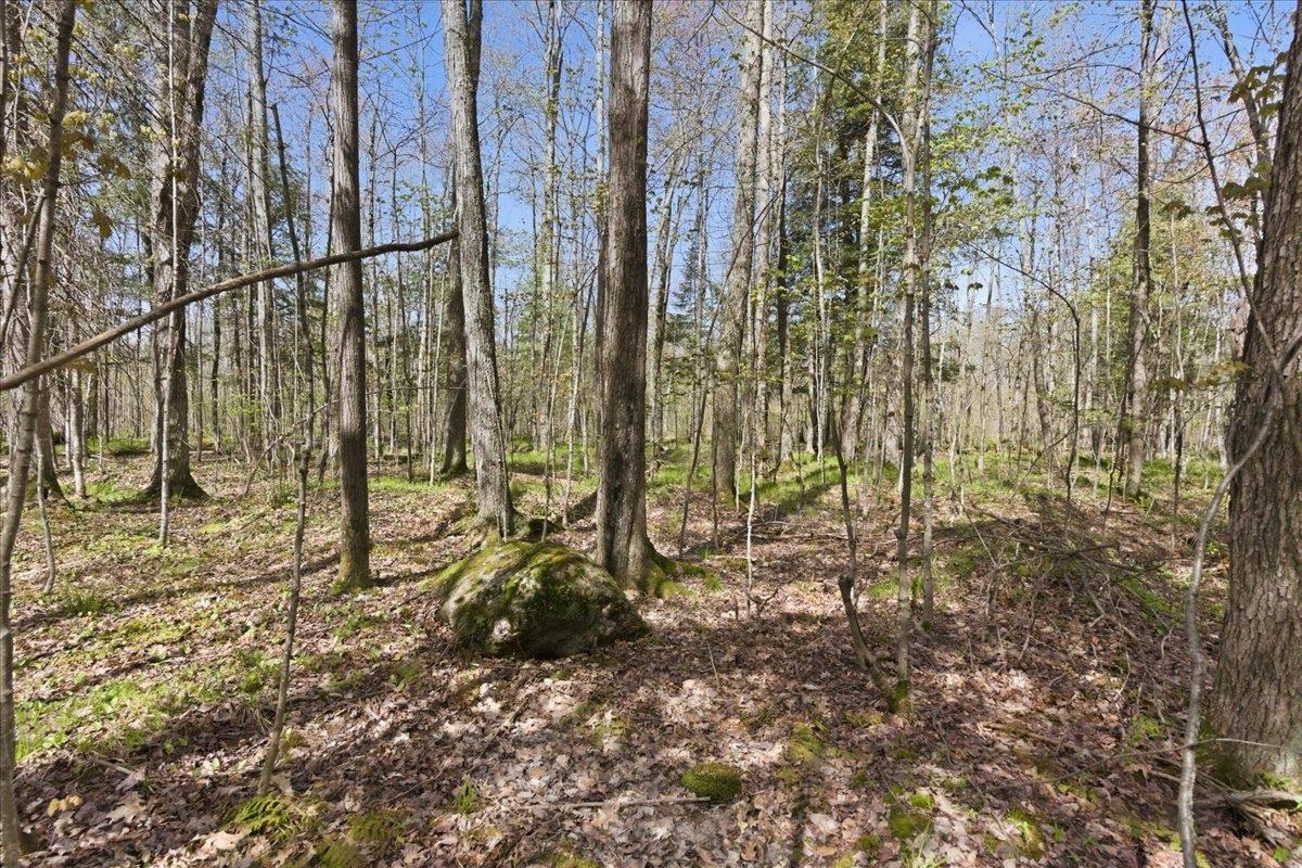W585 Strucker Road Ogema, WI 54459 - Photo 14 of 55