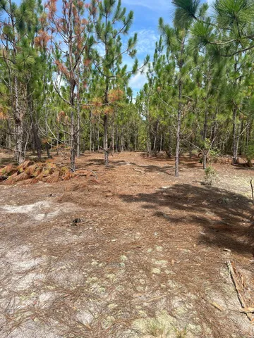 $98,900 | 11 Payne Pond Road, Unit PPF 11, Westville, SC 29175