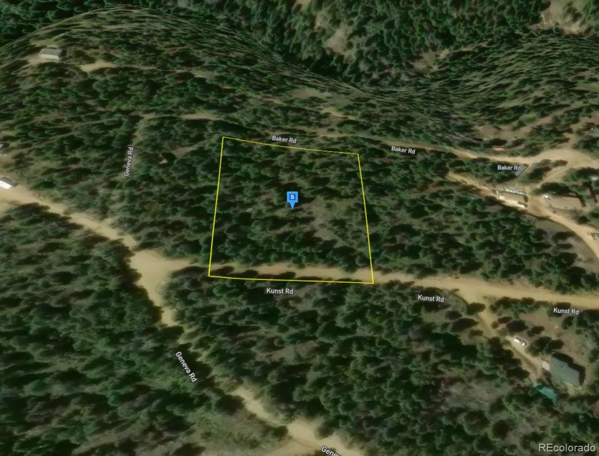 7903 Kunst Road Golden, CO 80403 - Photo 2 of 4 a view of a forest