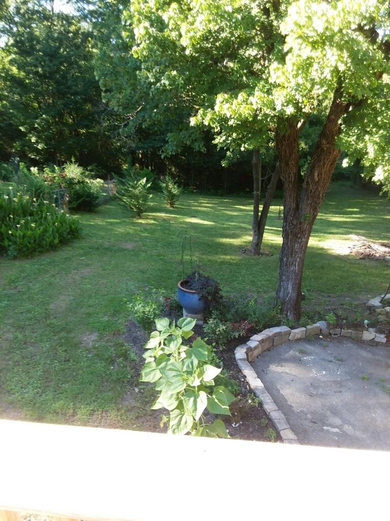 226 Washington Road Rossville, GA 30741 - Photo 5 of 27 IMG_1220