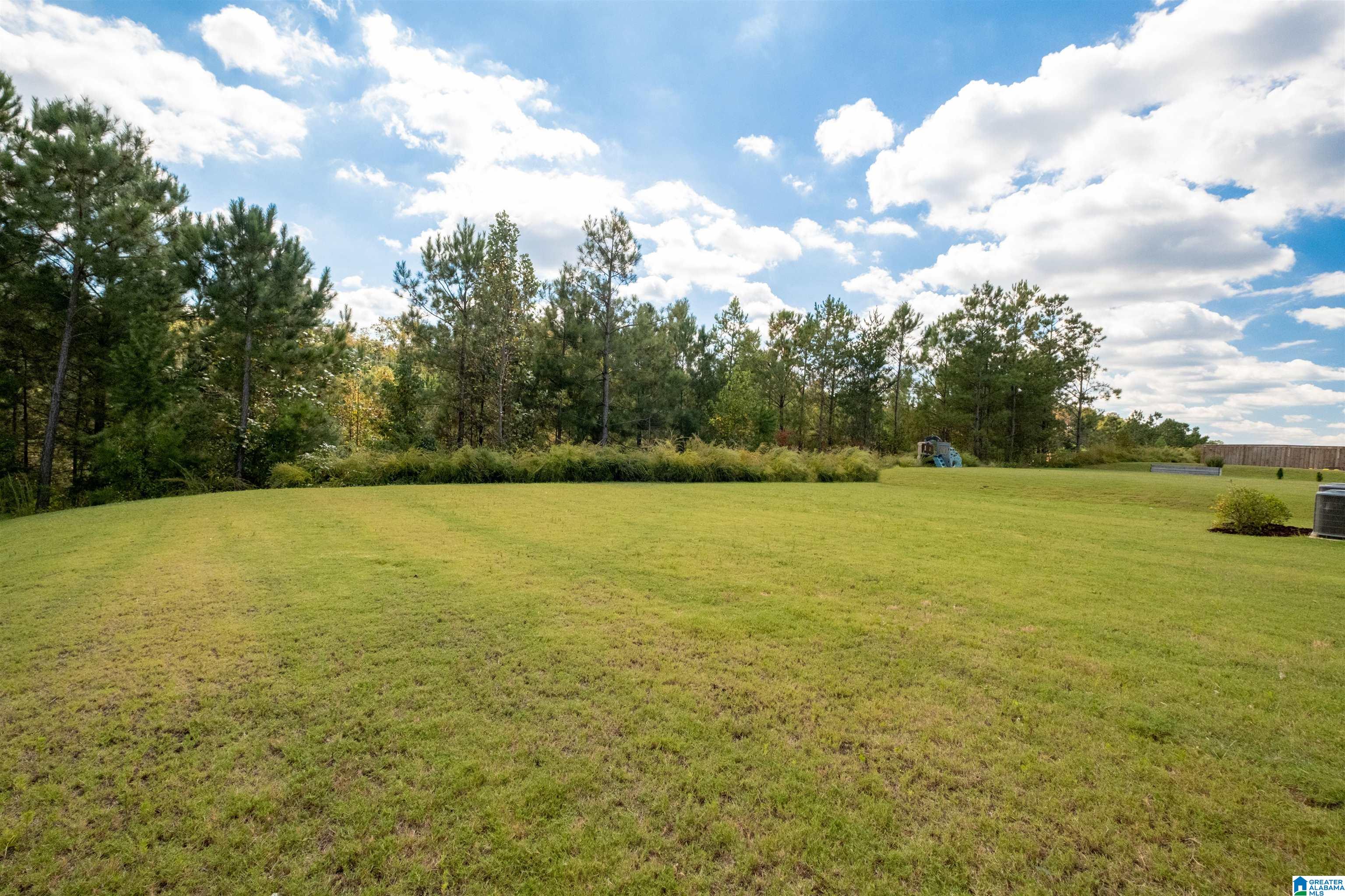 7823 Raleigh Drive Trussville, AL 35173 - Photo 44 of 50