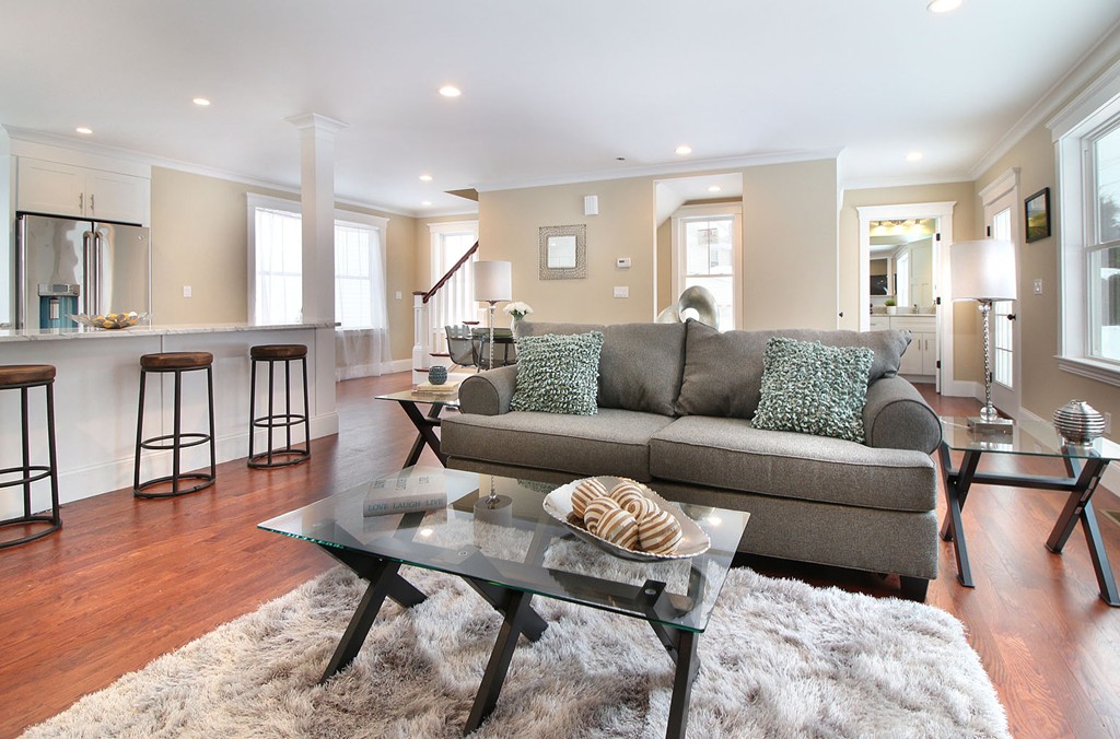 44 Howland Street Needham, MA 02492 - Photo 13 of 18 a living room with furniture potted plant and wooden floor